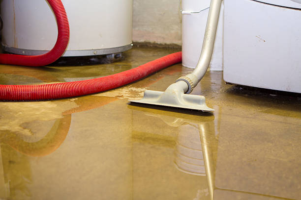 Best Carpet water damage restoration  in Timmonsville, SC