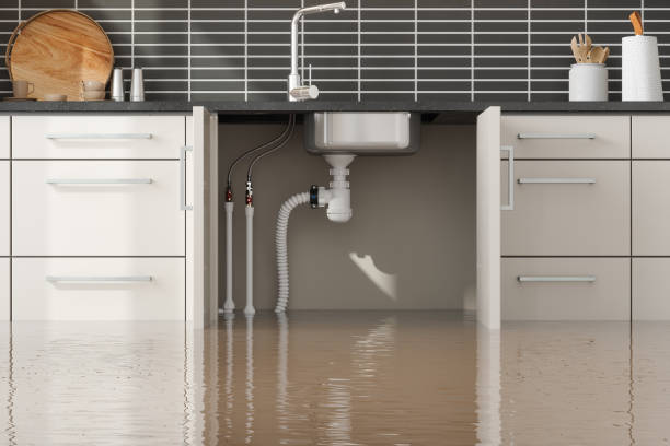 Best Flood restoration services  in Timmonsville, SC