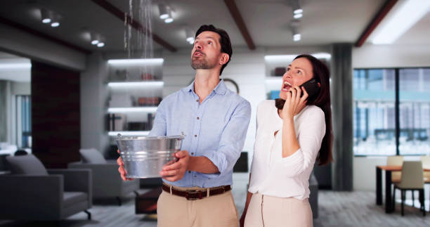 Best Flood damage cleanup  in Timmonsville, SC