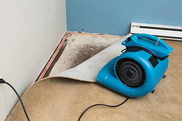 Best Sewage cleanup and water damage restoration  in Timmonsville, SC